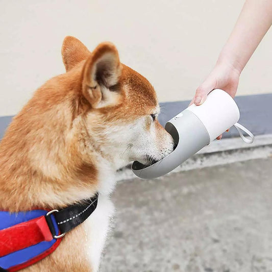 Pet Drinking Bottle Convenient